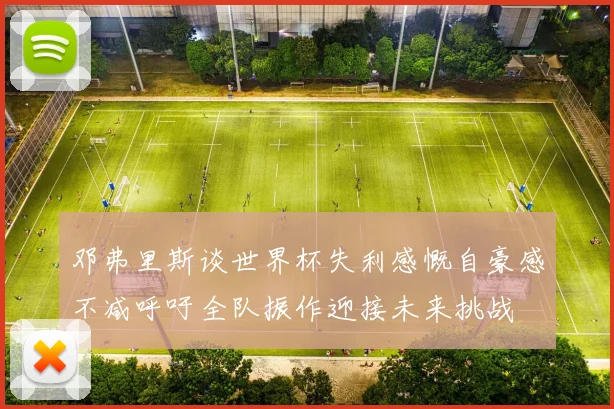 邓弗里斯谈世界杯失利感慨自豪感不减呼吁全队振作迎接未来挑战