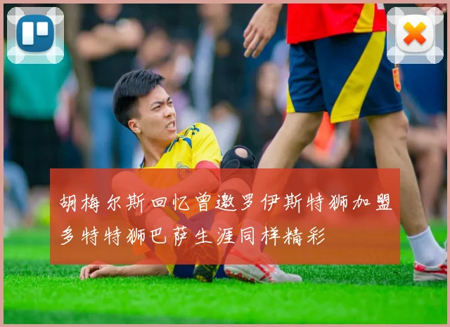 胡梅尔斯回忆曾邀罗伊斯特狮加盟多特特狮巴萨生涯同样精彩